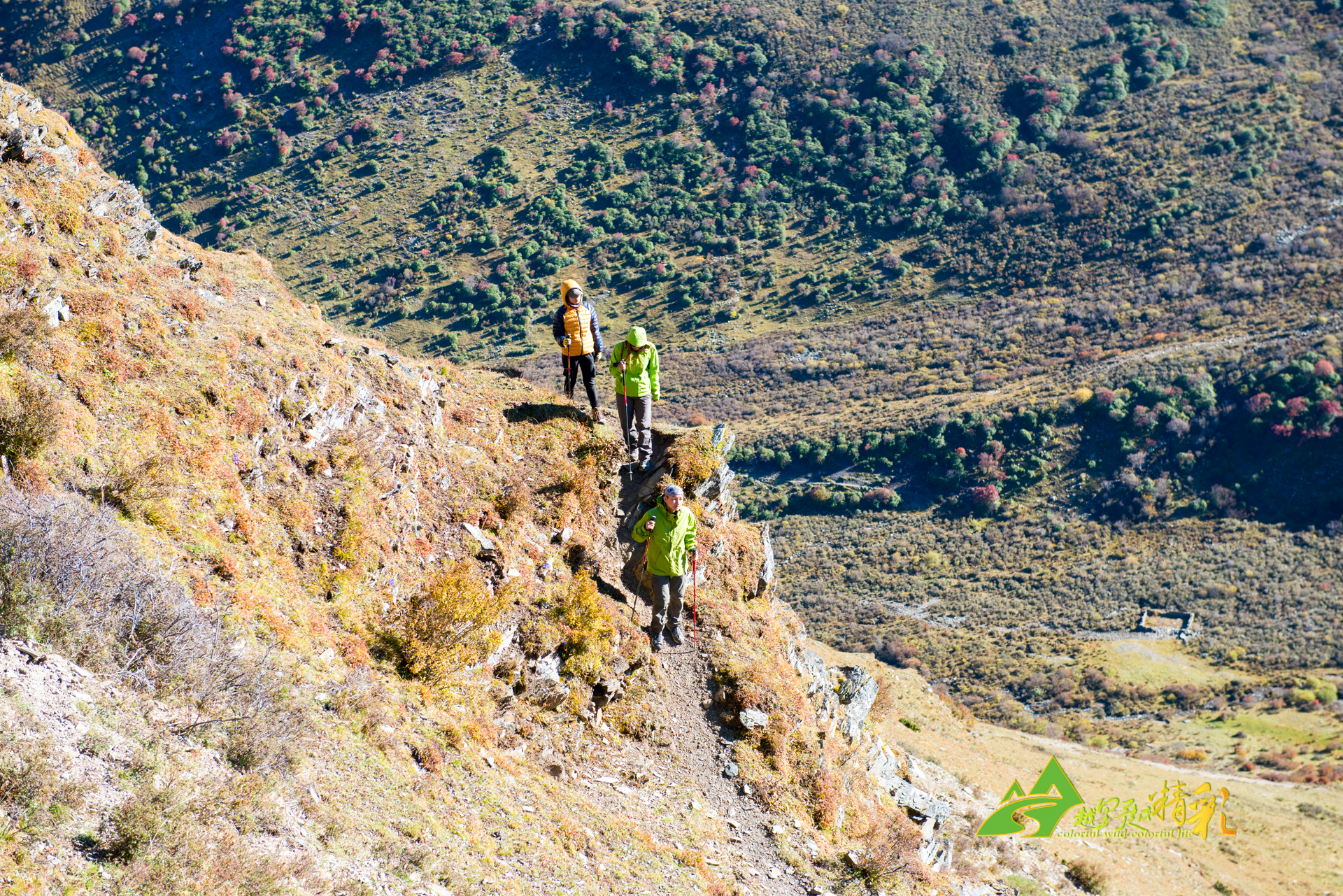 好消息是 好消息是
