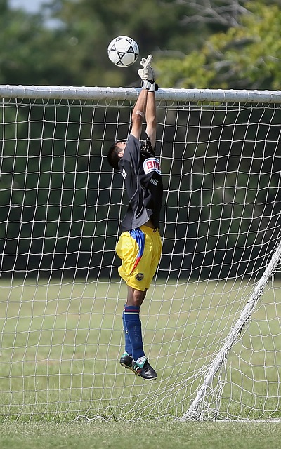 这在一定程 这在一定程