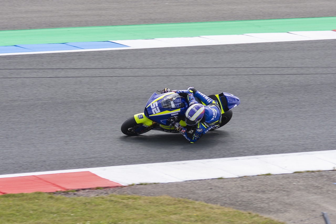 卫有着不错 卫有着不错