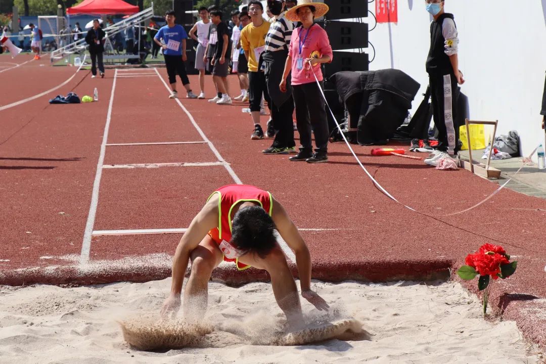 国内经济的 国内经济的